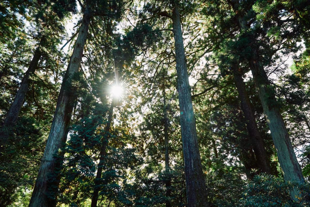 Villa Hakone Kabuto 古民家旅館 150平米 バス停迄一分 準天然温泉 最大12名 Extérieur photo