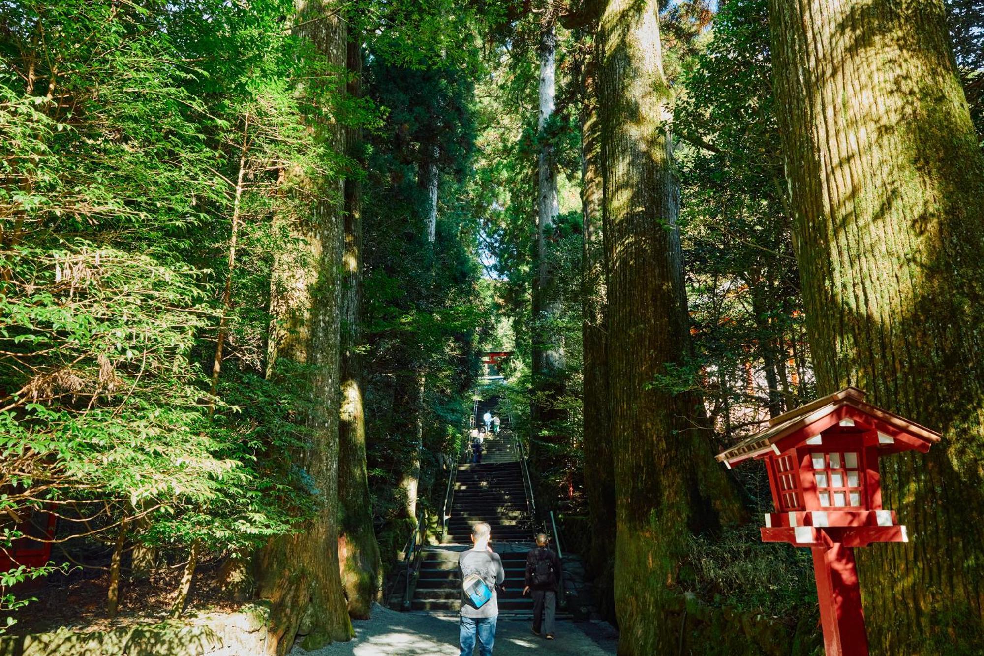Villa Hakone Kabuto 古民家旅館 150平米 バス停迄一分 準天然温泉 最大12名 Extérieur photo